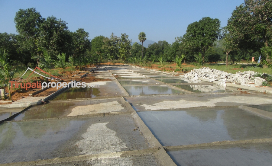 East and West Facing Plots for Sale Before Vidyanikethan College, Tirupati